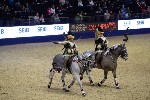Quadrille - 00776